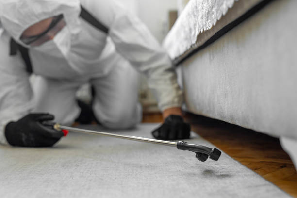 Professional Bed Bug Control technician working in Cass County County, ND
